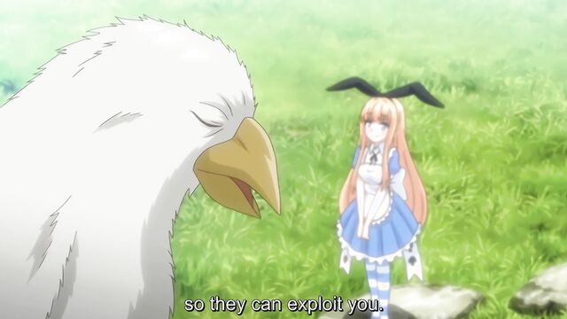 Furry Porn