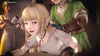 Linkles Secret Rendezvous When Time Stands Still in Zelda Universe