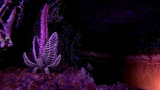 Heroes Tempted by Monsters in Fiery 3D Hentai Dungeon Encounter – Desire Awakened